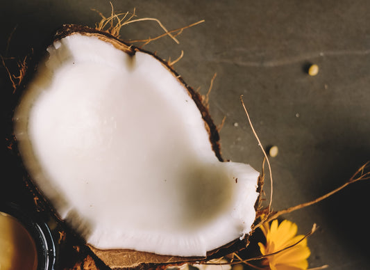 Discover the Gentle Balance of Wellness with ZoZ Wellness's 1500mg CBD Tincture