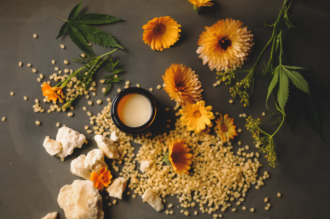 11 Plant Medicines that May Provide Benefits to those fighting endometriosis.