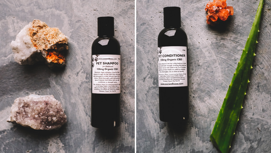 Pet Shampoo & Conditioner Set (pH Balanced)